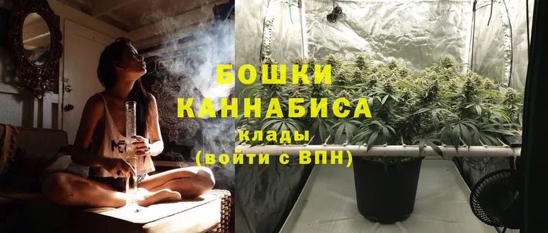 Бошки Шишки Ganja  shop телеграм  Киреевск 